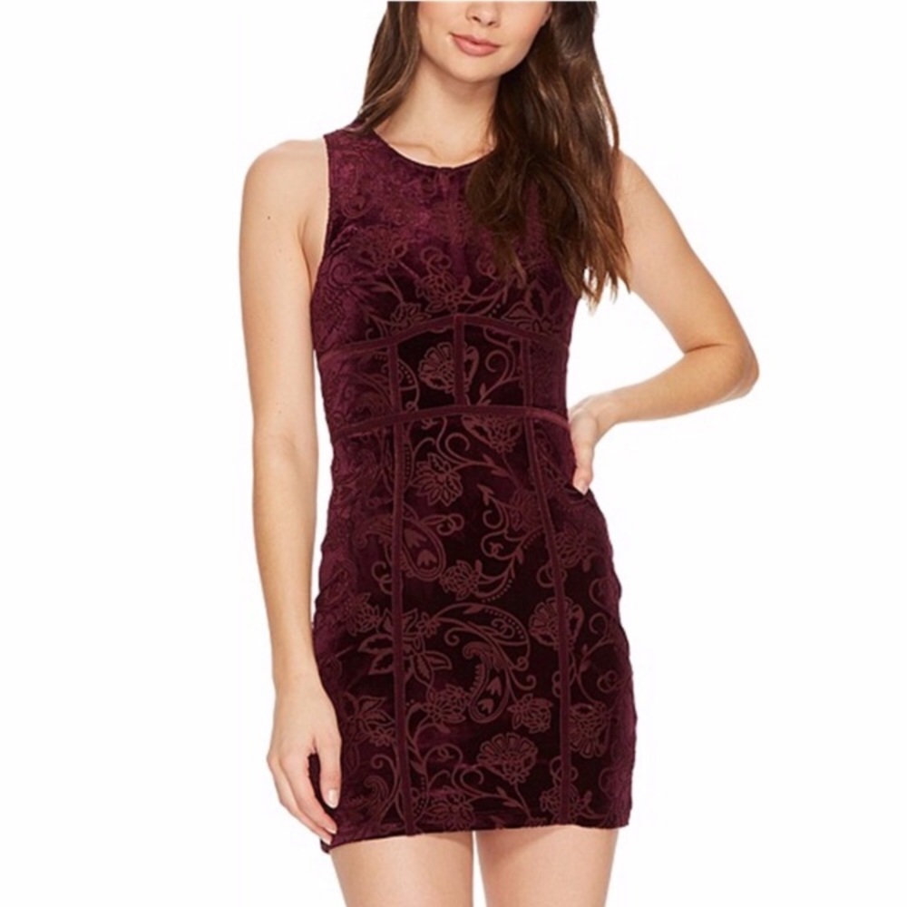 Free People Plum Velvet Dress